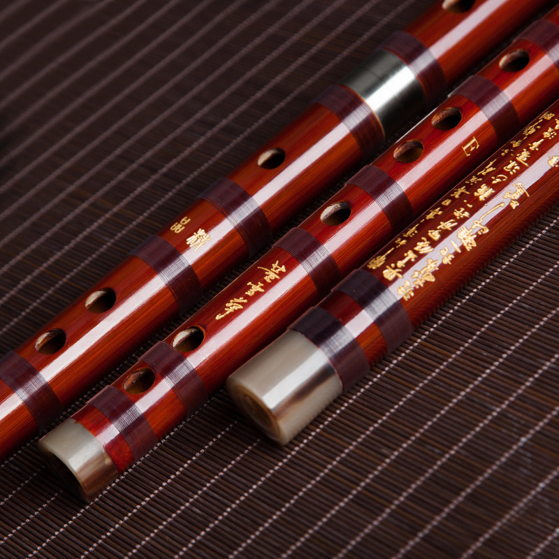 Dong Xuehua 8885 竹笛プロフェッショナルステ - Musical Instrument Sign のレビューと価格